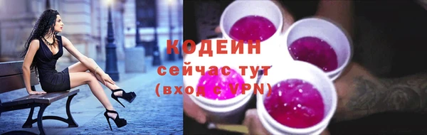 a pvp Каменногорск