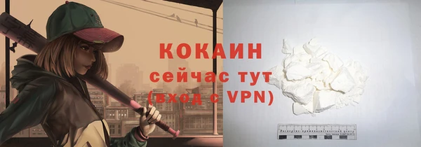 индика Касимов
