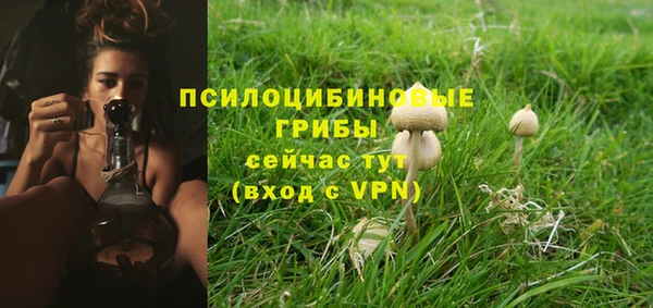 индика Касимов