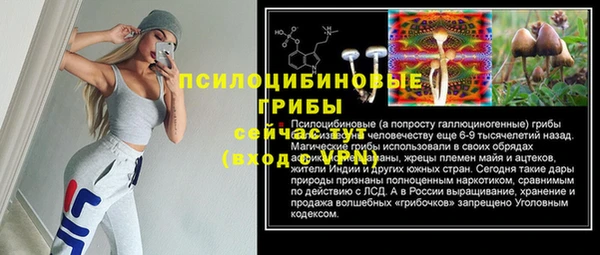 индика Касимов