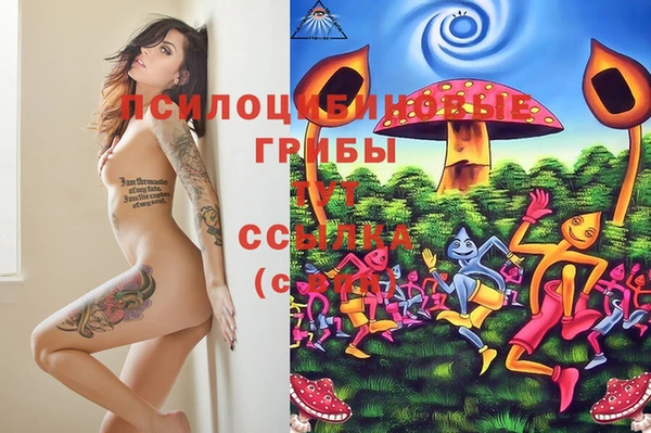мдма Карпинск