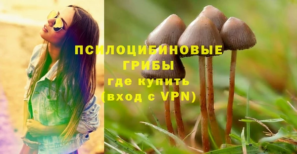a pvp Каменногорск