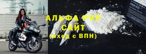 индика Касимов