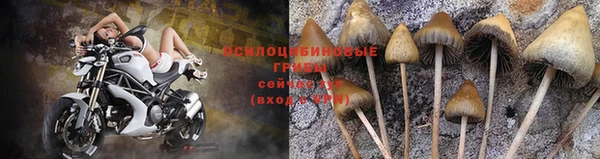 a pvp Каменногорск