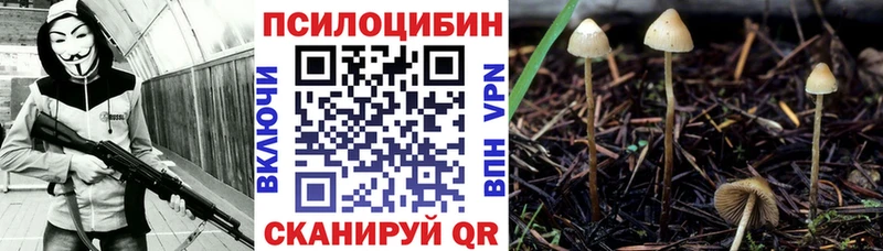 что такое   Новоаннинский  Псилоцибиновые грибы Psilocybe 