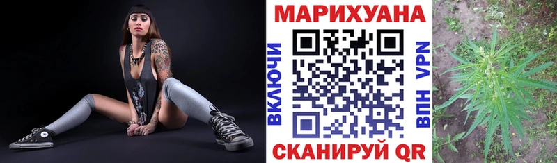 где купить   Новоаннинский  Канабис семена 